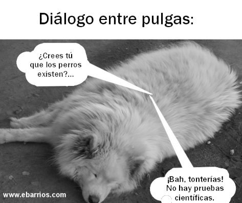 Dialogo entre pulgas